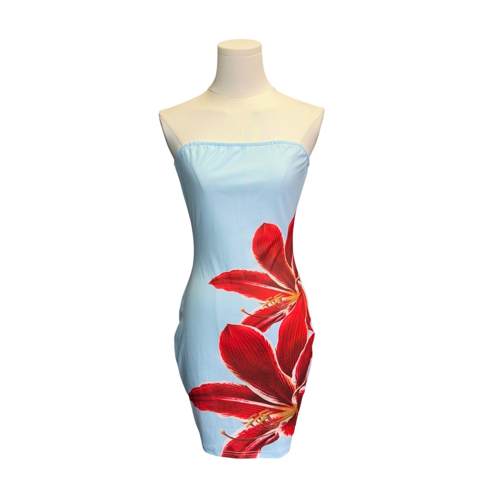 Vintage Y2K Strapless Tube Dress Light Blue Red Floral Amaryllis Bodycon Mini